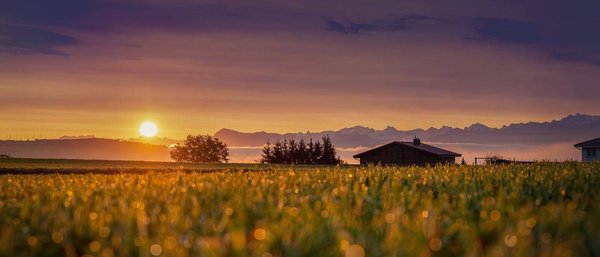 Comment réussir à trouver un bon terrain à vendre ?